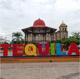 Servicio Real de Castilla Tours